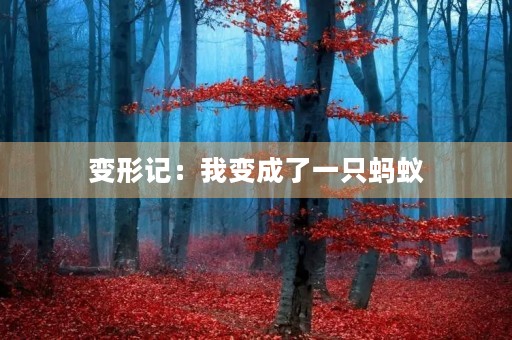 变形记：我变成了一只蚂蚁