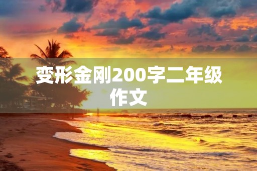 变形金刚200字二年级作文