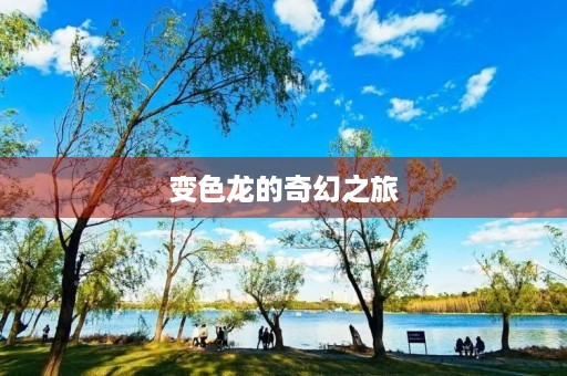 变色龙的奇幻之旅