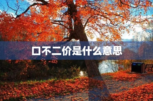 口不二价是什么意思 口不二价是什么意思