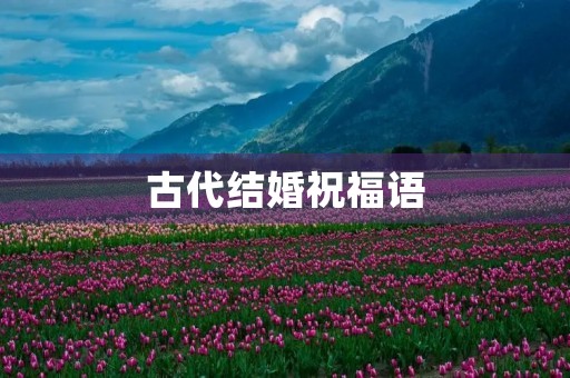 古代结婚祝福语(古风结婚贺词佳句)