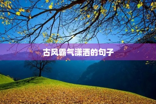 古风霸气潇洒的句子,古风霸气潇洒的句子图片 古风霸气潇洒的句子,古风霸气潇洒的句子图片