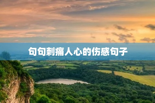句句刺痛人心的伤感句子，人心的伤感句子