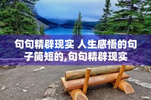 句句精辟现实 人生感悟的句子简短的,句句精辟现实