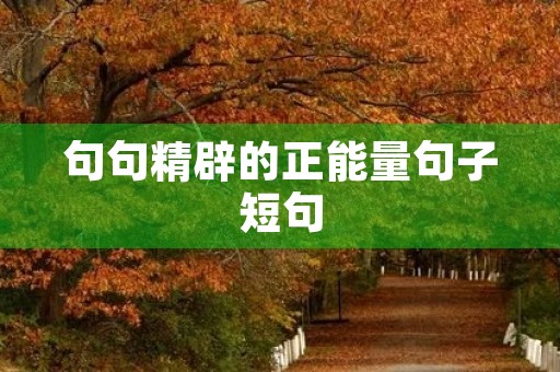 句句精辟的正能量句子短句(100句正能量短句)