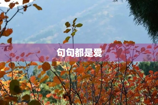 句句都是爱(句句都是爱的诗句)