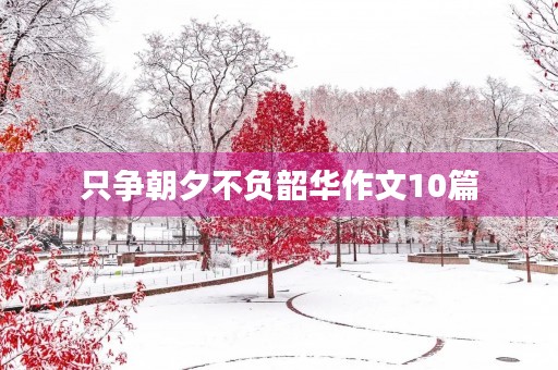 只争朝夕不负韶华作文10篇 只争朝夕不负韶华作文10篇
