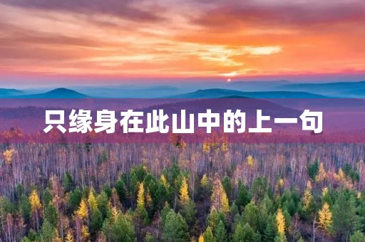 只缘身在此山中的上一句，只缘身在此山中的上一句是什么意思