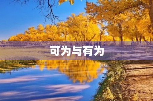 可为与有为 可为与有为