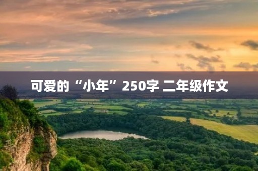 可爱的“小年”250字 二年级作文 可爱的“小年”250字 二年级作文