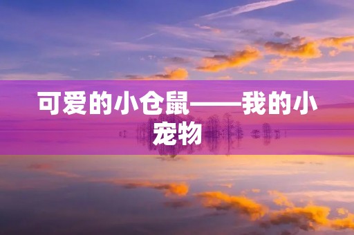 可爱的小仓鼠——我的小宠物