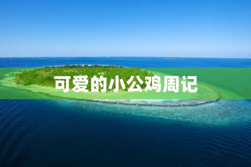可爱的小公鸡周记 可爱的小公鸡周记