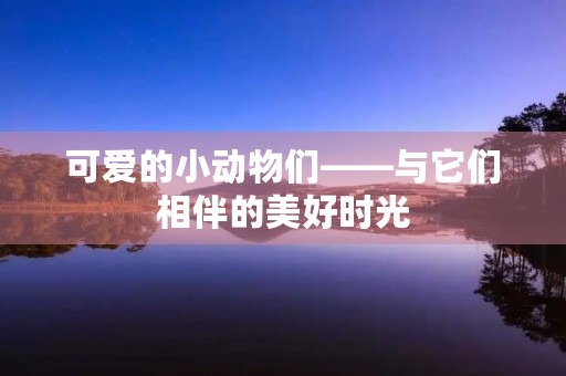 可爱的小动物们——与它们相伴的美好时光