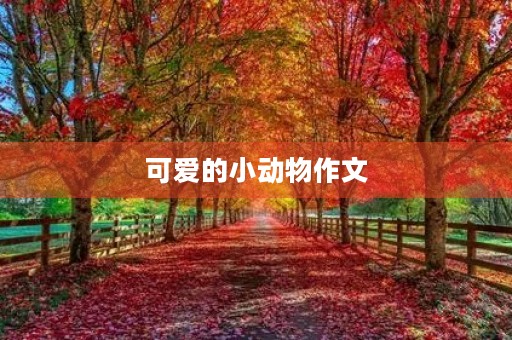 可爱的小动物作文 可爱的小动物作文