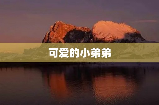 可爱的小弟弟