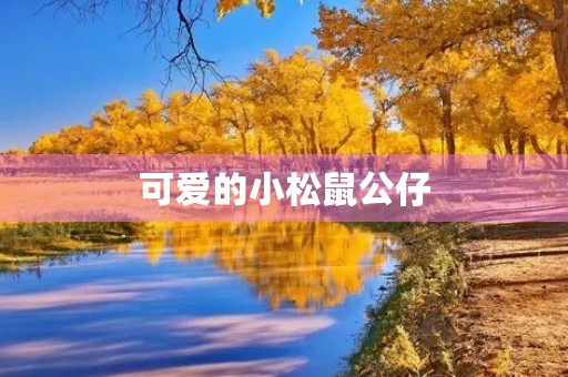 可爱的小松鼠公仔