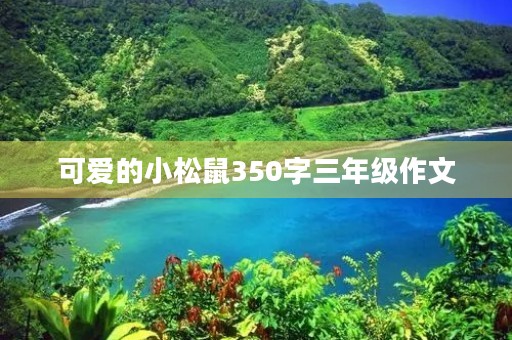 可爱的小松鼠350字三年级作文