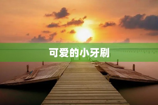 可爱的小牙刷 可爱的小牙刷