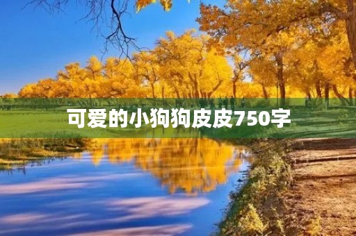 可爱的小狗狗皮皮750字