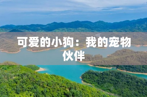 可爱的小狗：我的宠物伙伴