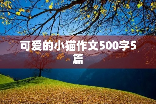 可爱的小猫作文500字5篇