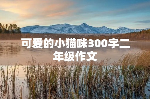 可爱的小猫咪300字二年级作文 可爱的小猫咪300字二年级作文