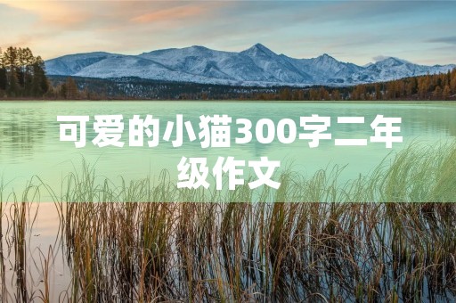 可爱的小猫300字二年级作文