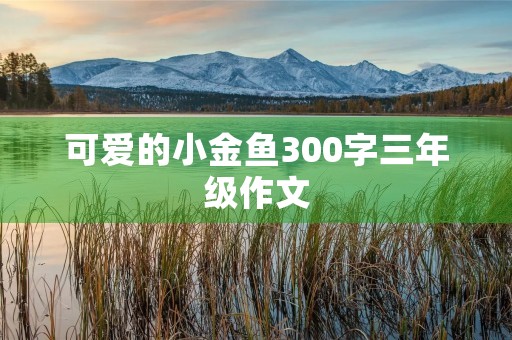 可爱的小金鱼300字三年级作文 可爱的小金鱼300字三年级作文