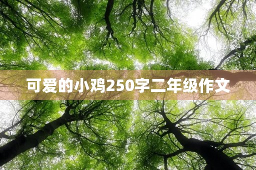可爱的小鸡250字二年级作文