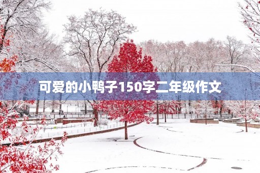 可爱的小鸭子150字二年级作文 可爱的小鸭子150字二年级作文