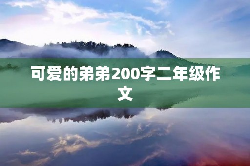可爱的弟弟200字二年级作文 可爱的弟弟200字二年级作文