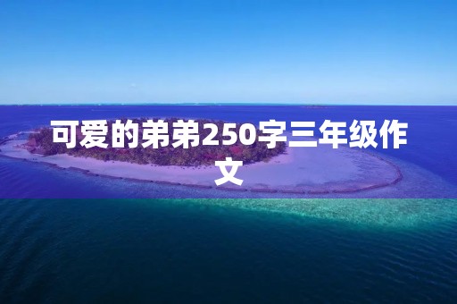 可爱的弟弟250字三年级作文