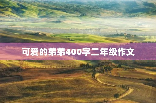 可爱的弟弟400字二年级作文