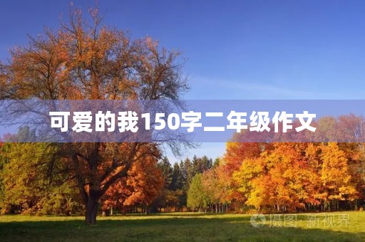 可爱的我150字二年级作文