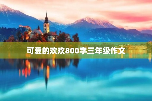 可爱的欢欢800字三年级作文 可爱的欢欢800字三年级作文