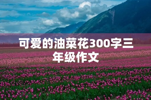 可爱的油菜花300字三年级作文