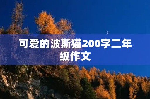 可爱的波斯猫200字二年级作文