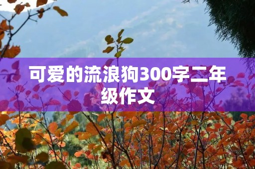 可爱的流浪狗300字二年级作文