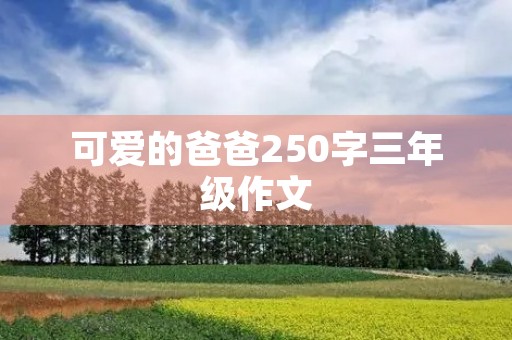 可爱的爸爸250字三年级作文