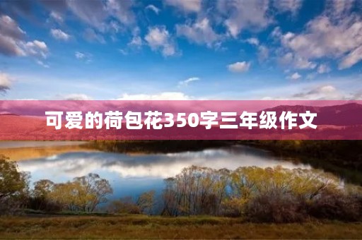 可爱的荷包花350字三年级作文 可爱的荷包花350字三年级作文