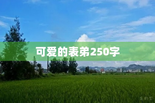 可爱的表弟250字 可爱的表弟250字