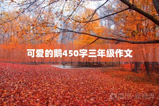 可爱的鹅450字三年级作文