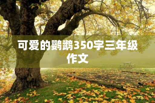 可爱的鹦鹉350字三年级作文