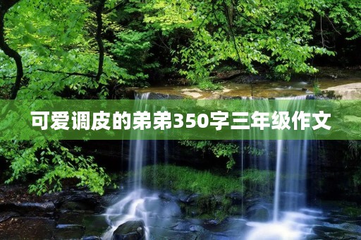 可爱调皮的弟弟350字三年级作文