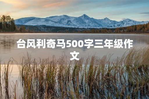 台风利奇马500字三年级作文 台风利奇马500字三年级作文