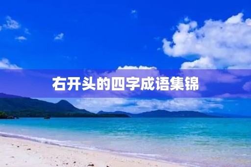 右开头的四字成语集锦