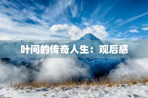 叶问的传奇人生:观后感 叶问的传奇人生:观后感