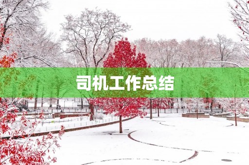 司机工作总结