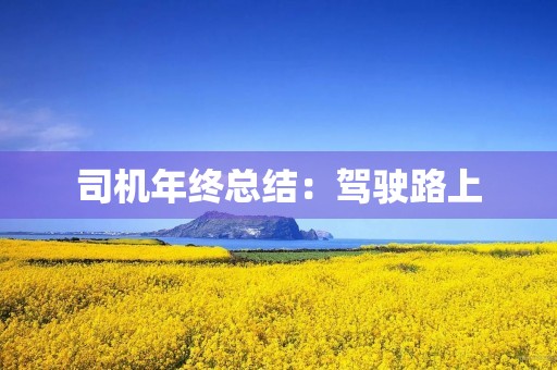 司机年终总结:驾驶路上,行稳致远