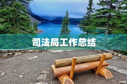 司法局工作总结